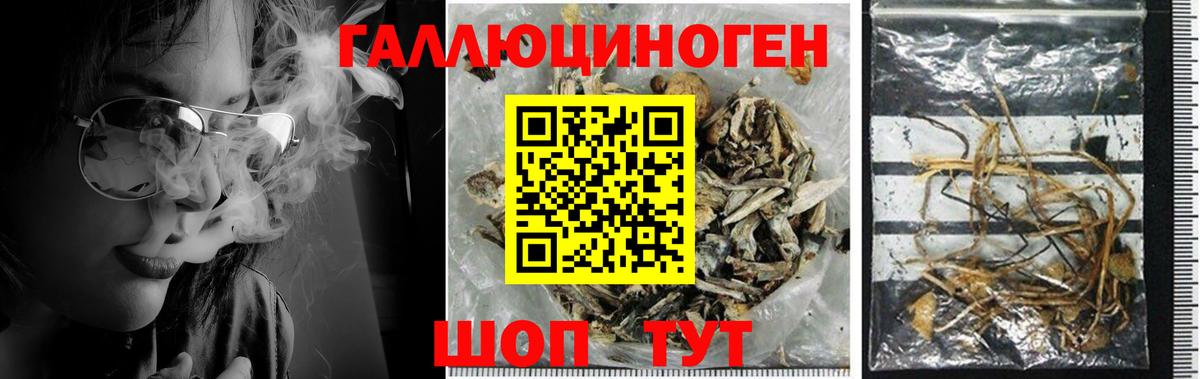 Псилоцибиновые грибы прущие грибы Батайск